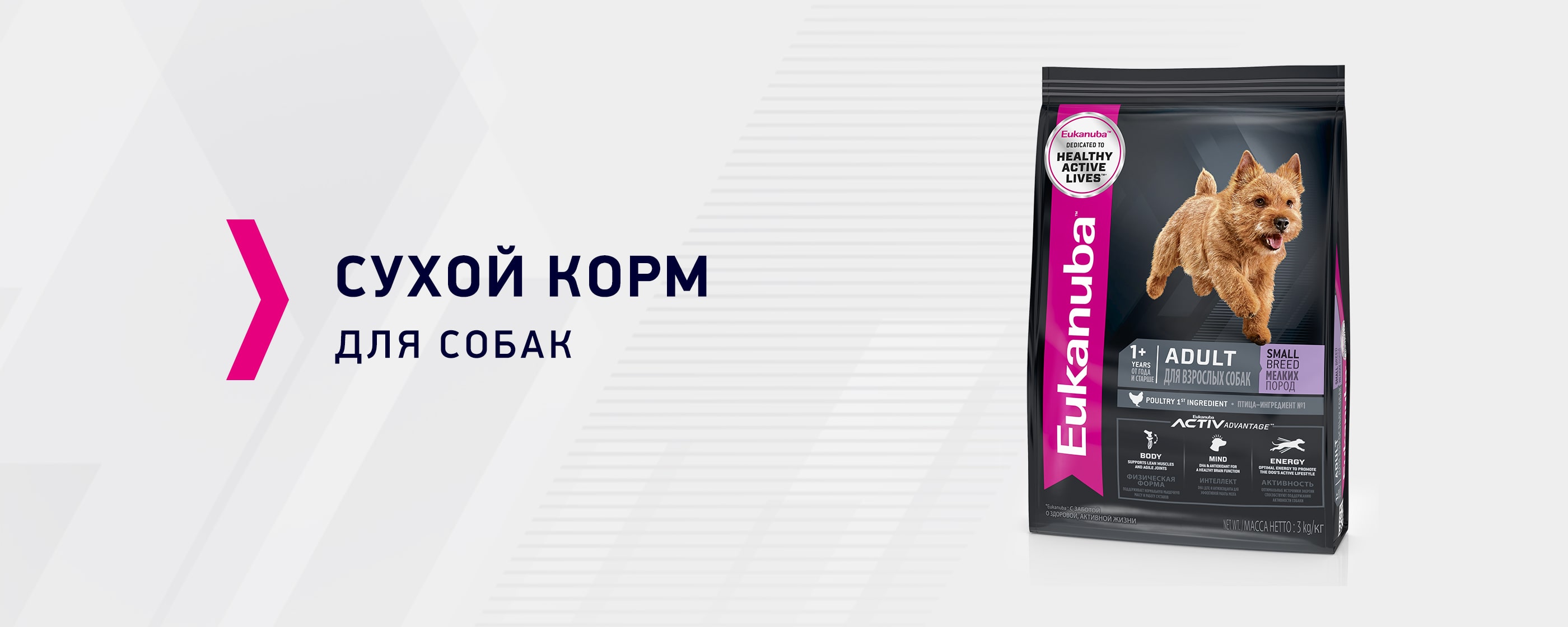 Eukanuba купить по цене от 62 ₽ в интернет-магазине с доставкой в Москве