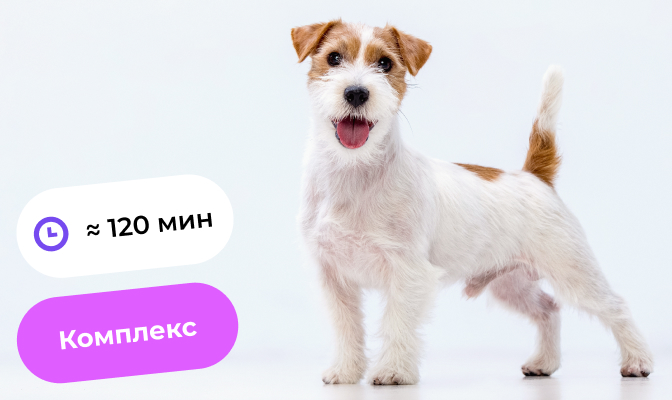 Роллинг