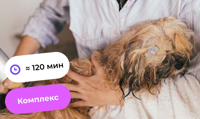 Гигиена