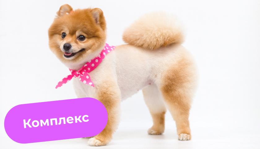Комплекс