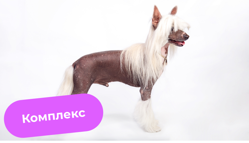 Комплекс