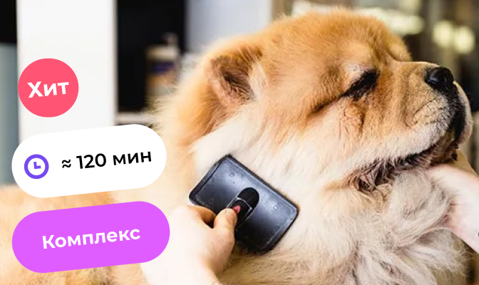 Экспресс-линька