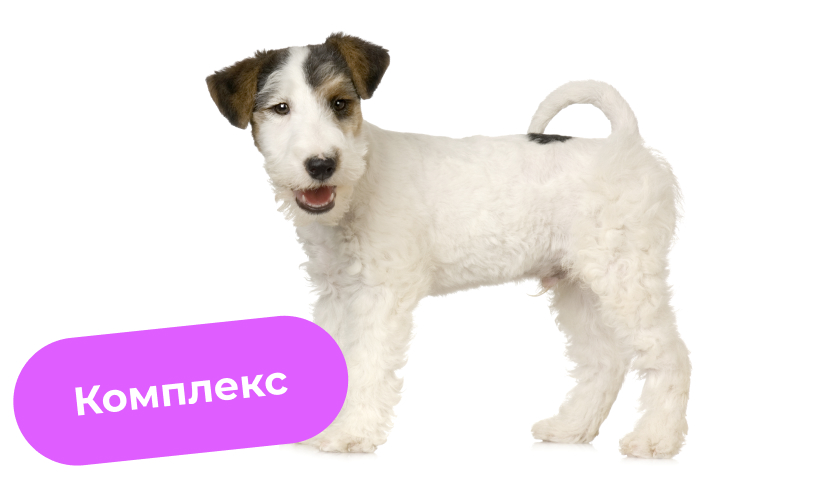 Комплекс