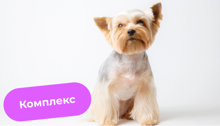 Комплекс