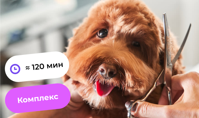 Стрижка